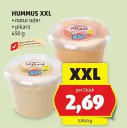 Hofer HUMMUS XXL Angebot