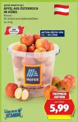 Hofer Äpfel aus Österreich im Kübel Angebot