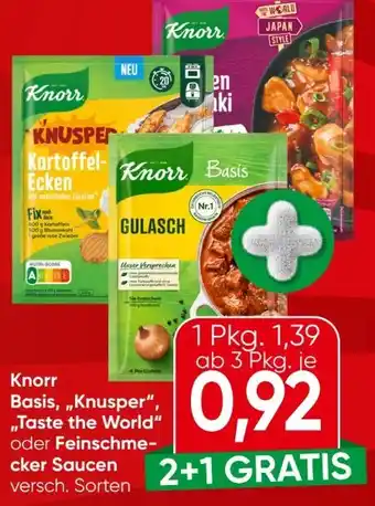 Knorr Basis Taste The World