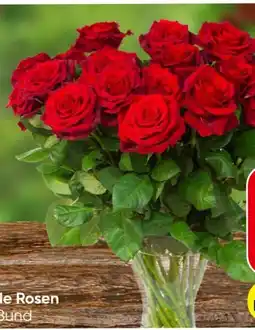 Eurospar Fairtrade Rosen Angebot