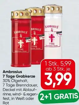 Spar Ambrosius Grabkerze Angebot