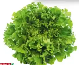 Interspar Spar Natur pur Bio-Salat Gentilina Angebot