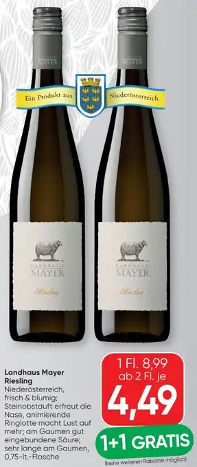 Landhaus Mayer Riesling