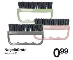 Zeeman Nagelbürste Angebot