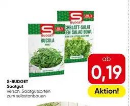 Eurospar S-BUDGET Saatgut Angebot