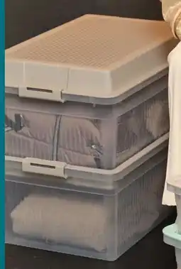 Woolworth Aufbewahrungsbox Angebot