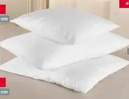 Woolworth Belday Home Federkern Füllkissen Angebot