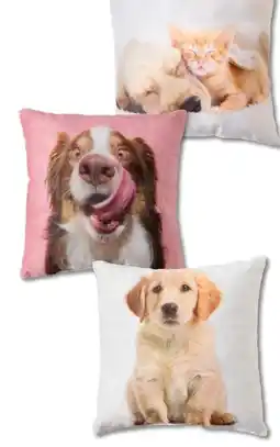 Woolworth Belday Home Dekokissen Angebot