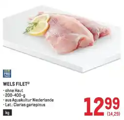Metro Wels filet Angebot