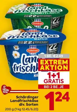 Billa Schärdinger landfrischkäse Angebot
