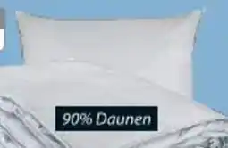 JYSK Entendaunenkissen FALKETIND 4251501 JYSK Angebot