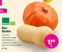 Denn's Biomarkt Bio-Kürbis Angebot