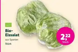 Denn's Biomarkt Bio- Eissalat Angebot