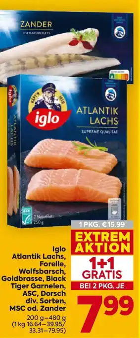 Billa Iglo atlantik lachs, forelle, wolfsbarsch, goldbrasse, black tiger garnelen, asc, dorsch Angebot
