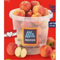 Hofer Äpfel aus Österreich im Kübel HOFER Angebot