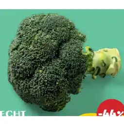 PENNY Brokkoli Penny Angebot