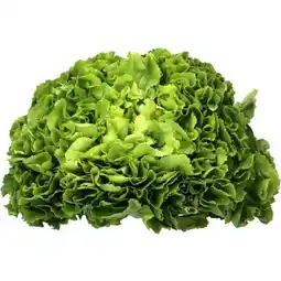 MPreis Endivien Salat MPREIS Angebot