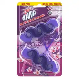 dm WC-Stein 6in1 div. Sorten dm Angebot