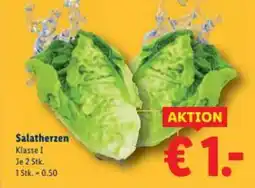 Lidl Salatherzen Angebot