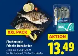 Lidl Fischerstolz frische dorade Angebot