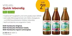 Martin Reformstark RAW Kombucha Original Angebot
