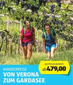 Hofer Reisen Wanderreise von verona zum gardasee Angebot