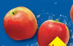 Lidl Äpfel Angebot