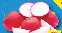 Lidl Snack Radieschen Angebot