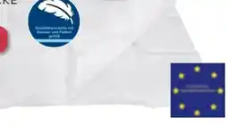 Möbelix Ele Kassettendecke Alaska Angebot