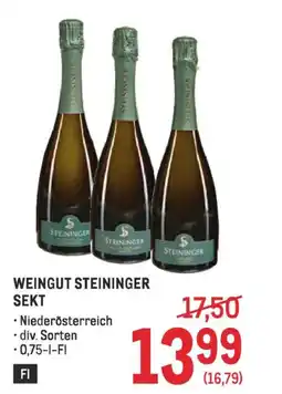 Metro Weingut steininger sekt Angebot