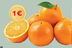 MPreis Billa Bio Orangen Angebot