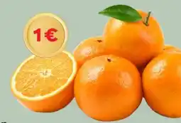 MPreis Billa Bio Orangen Angebot