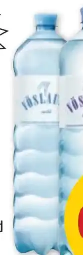 PENNY Vöslauer Mineralwasser Angebot
