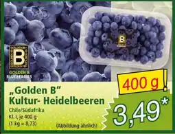 Norma Golden B Kultur-Heidelbeeren Angebot