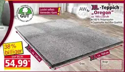 Norma XL-Teppich „Oregon“ Angebot