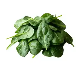 Lidl Bio Babyspinat Lidl APP Preis Angebot