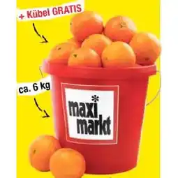 Maximarkt 10 Liter Kübel mit Orangen Maximarkt Angebot
