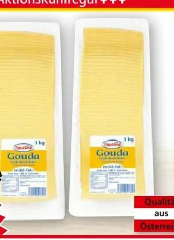 Norma Gouda Angebot