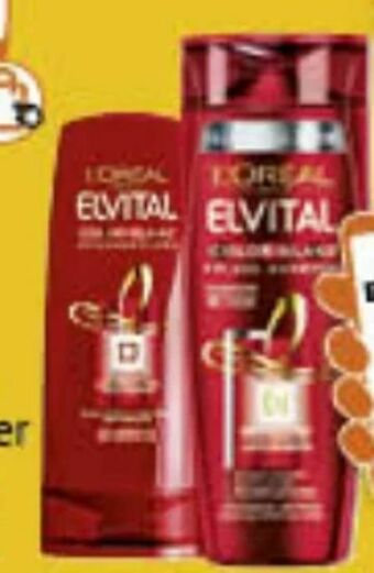Müller Elvital Shampoo Angebot