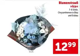 Interspar Blumenstrauß Ice Angebot