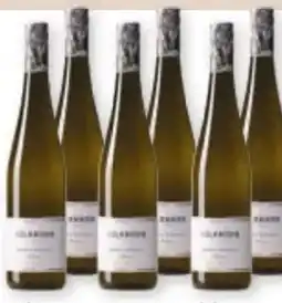 Maximarkt Weingut Kolkmann Grüner Veltliner Classic Wagram Angebot
