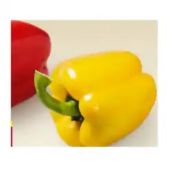 Billa Paprika rot od. gelb BILLA Angebot