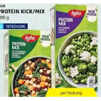Protein Kick/Mix HOFER