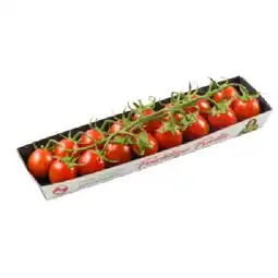 PENNY Cherrytomaten „Fruchtige Frieda“ Penny Angebot