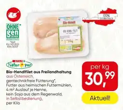 Spar Bio-Hendlfilet aus Freilandhaltung Angebot