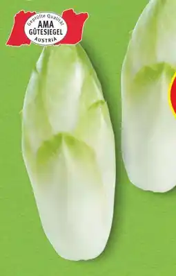 Hofer Hofer Marktplatz Chicoree Angebot