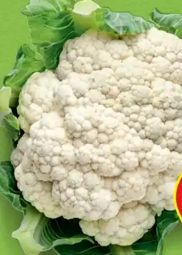 Hofer Hofer Marktplatz Karfiol Angebot