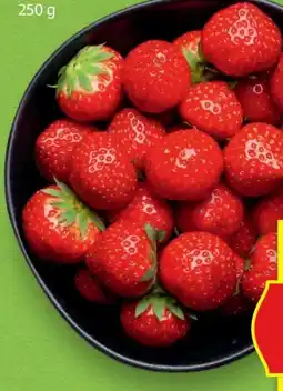 Hofer Hofer Marktplatz Erdbeeren Angebot
