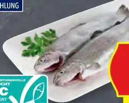 Hofer Forelle Angebot