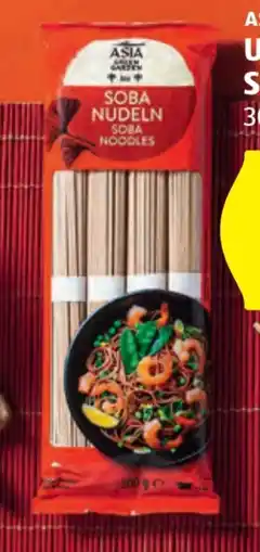 Hofer Asia Green Garden Udon Nudeln Angebot